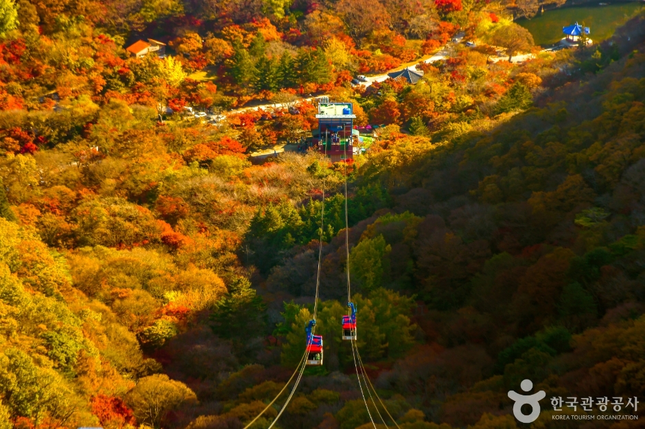[전북] 내장산 케이블카