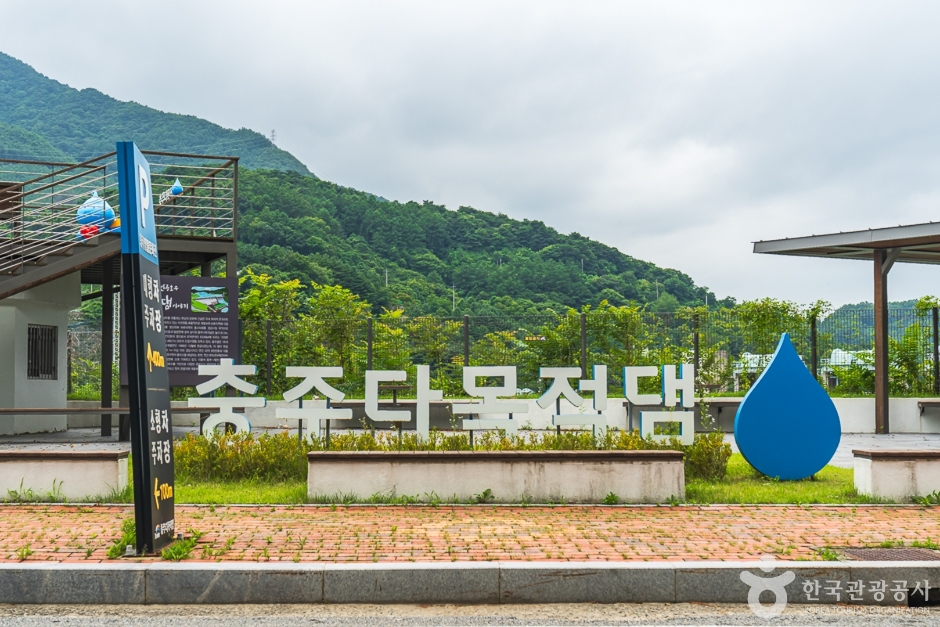 [충북] 충주댐 벚꽃길
