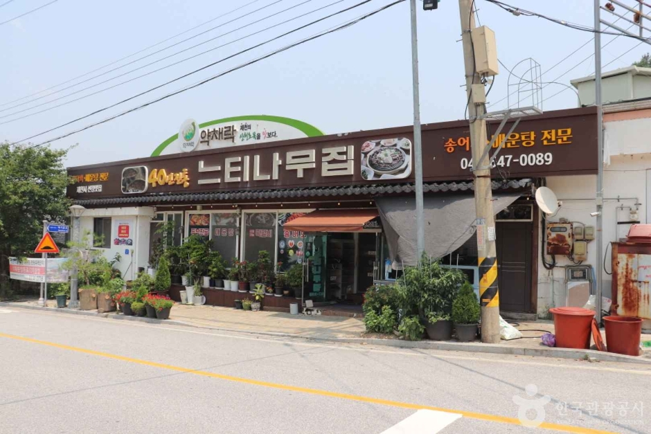 [충북] 느티나무횟집