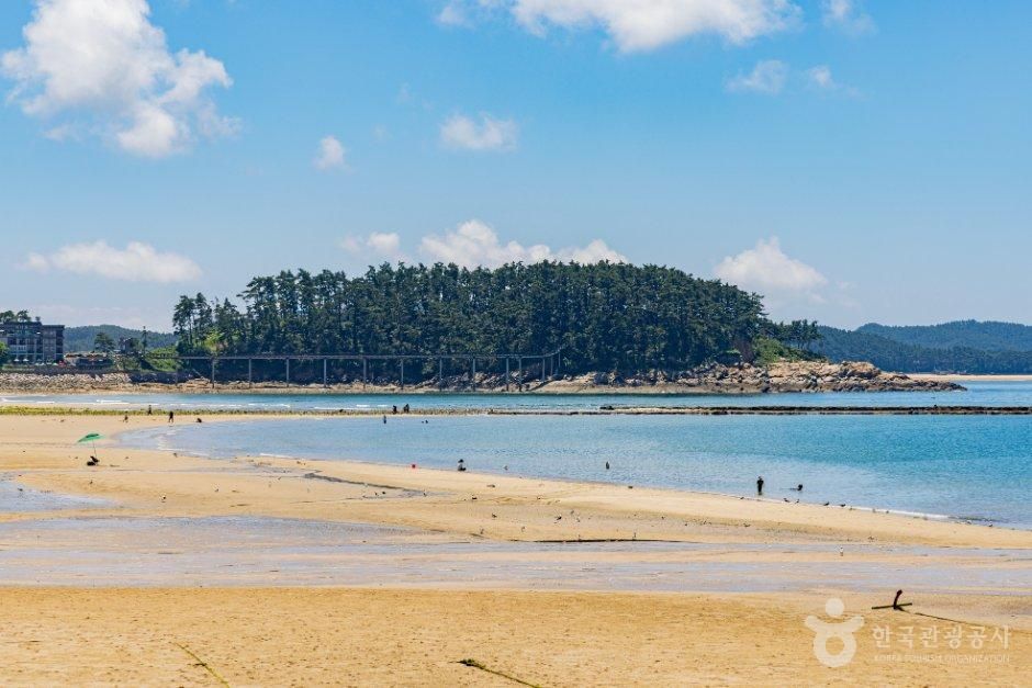 [충남] 천리포해수욕장