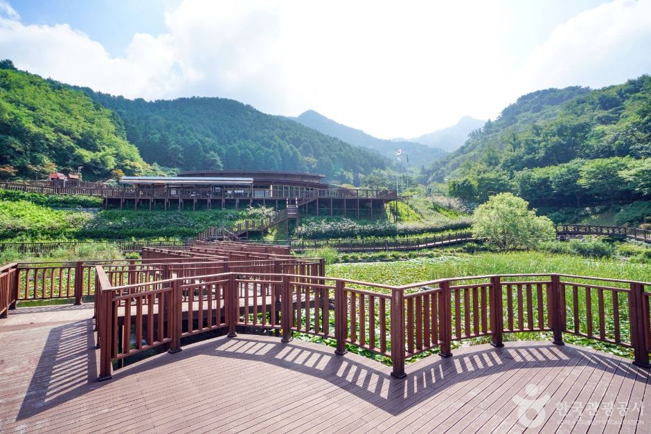 [경남] 진해드림파크