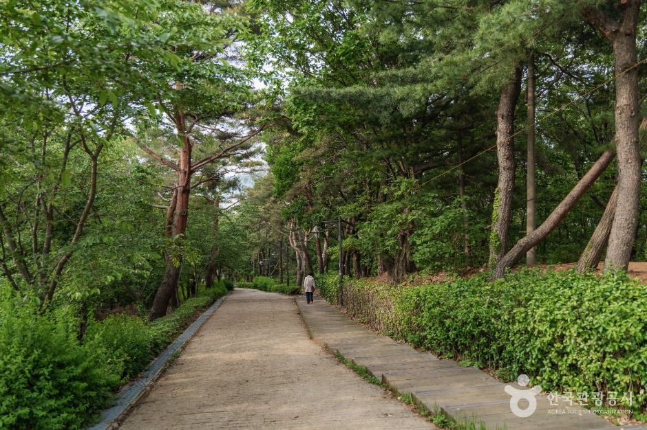 [서울] 서리풀공원