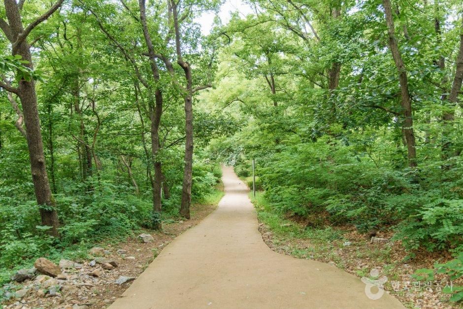 [경기] 모담공원