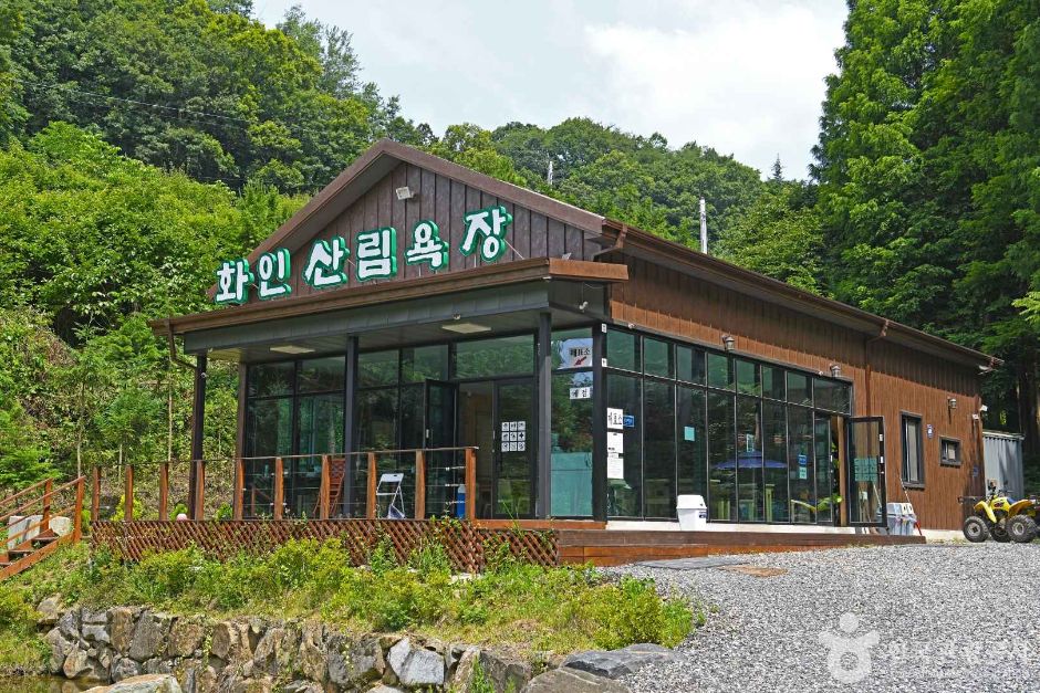 [충북] 화인산림욕장