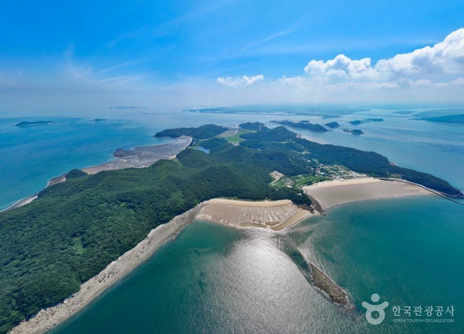 [충남] 대난지도