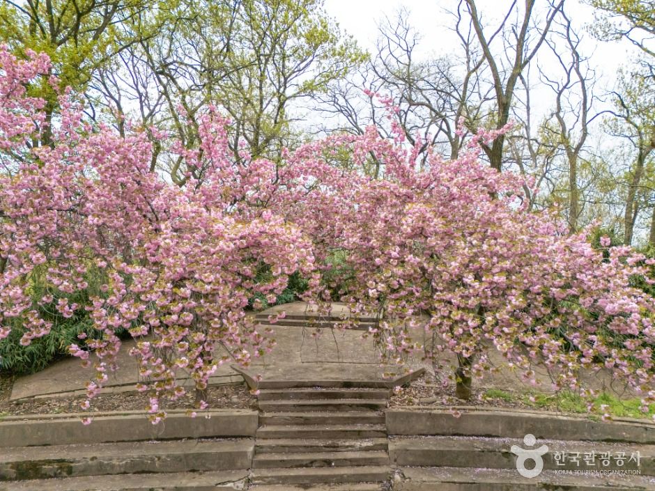 [대구] 화원동산