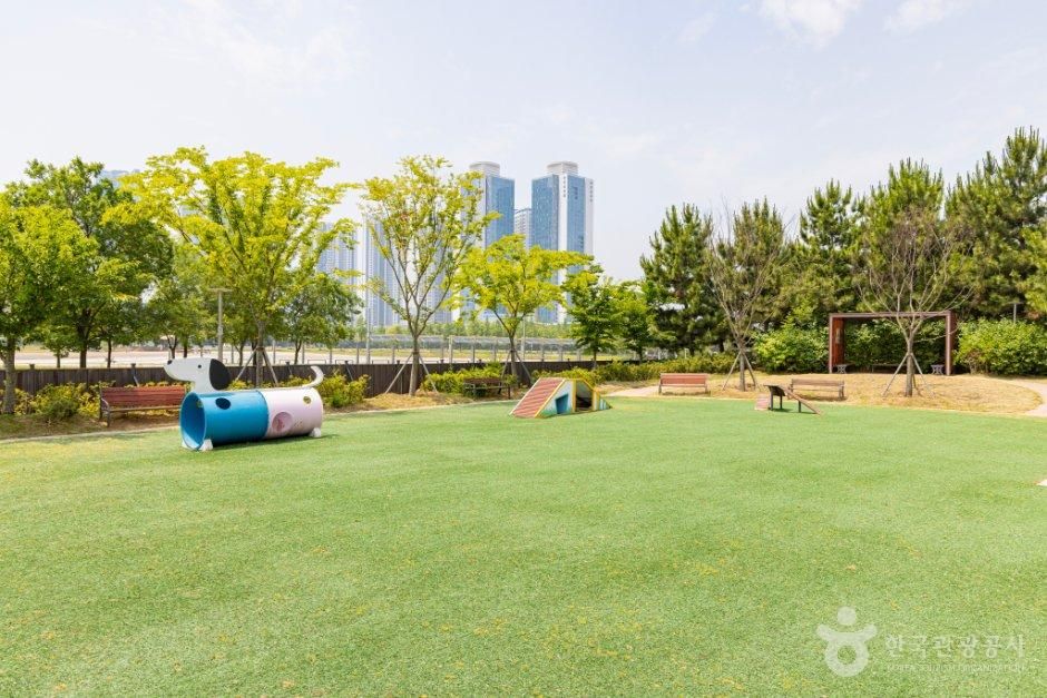 [인천] 송도 도그파크