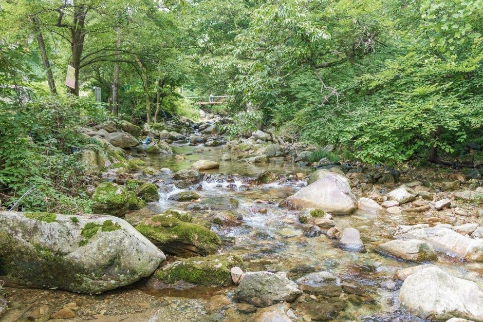 [경기] 용계계곡