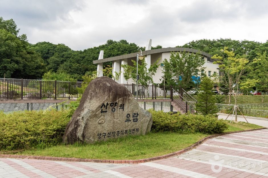 [강원] 양구 산양·사향노루센터