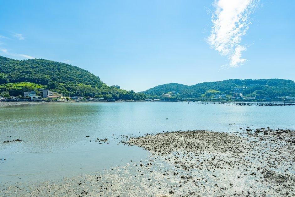 [전남광주통합특별시] 돌산 평사리 고니도래지