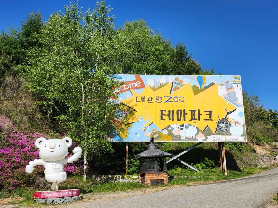 [강원] 대관령 주주파크