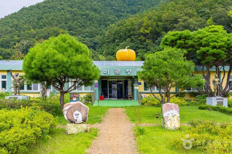 [강원] 삼척미로정원