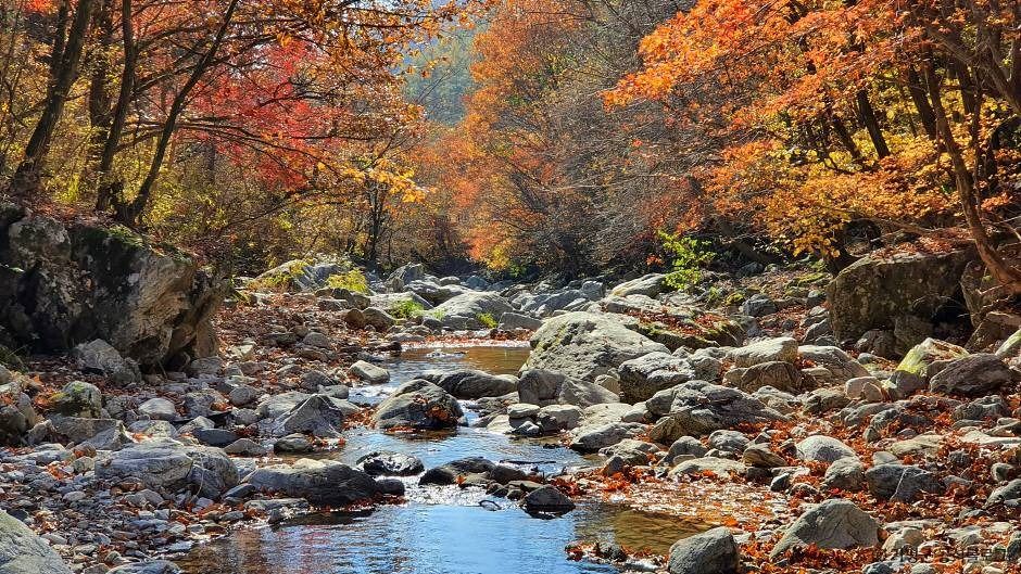 [경기] 경반계곡