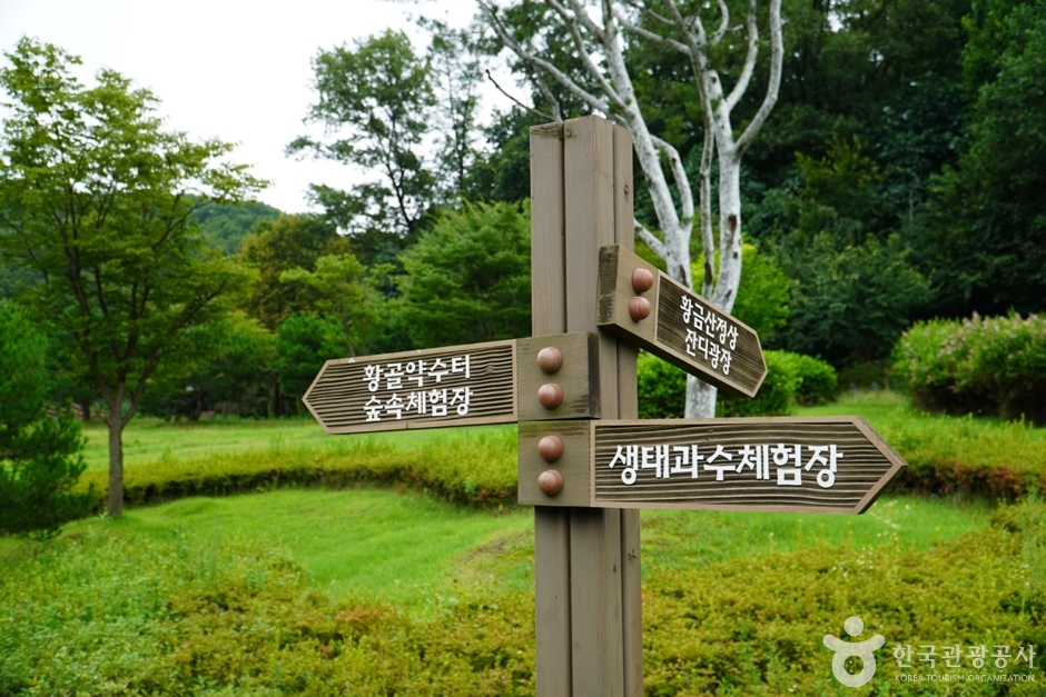 [경기] 황금산문화공원