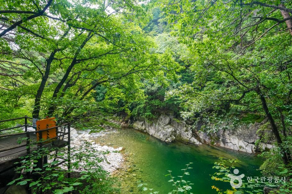 [경남] 홍류동계곡