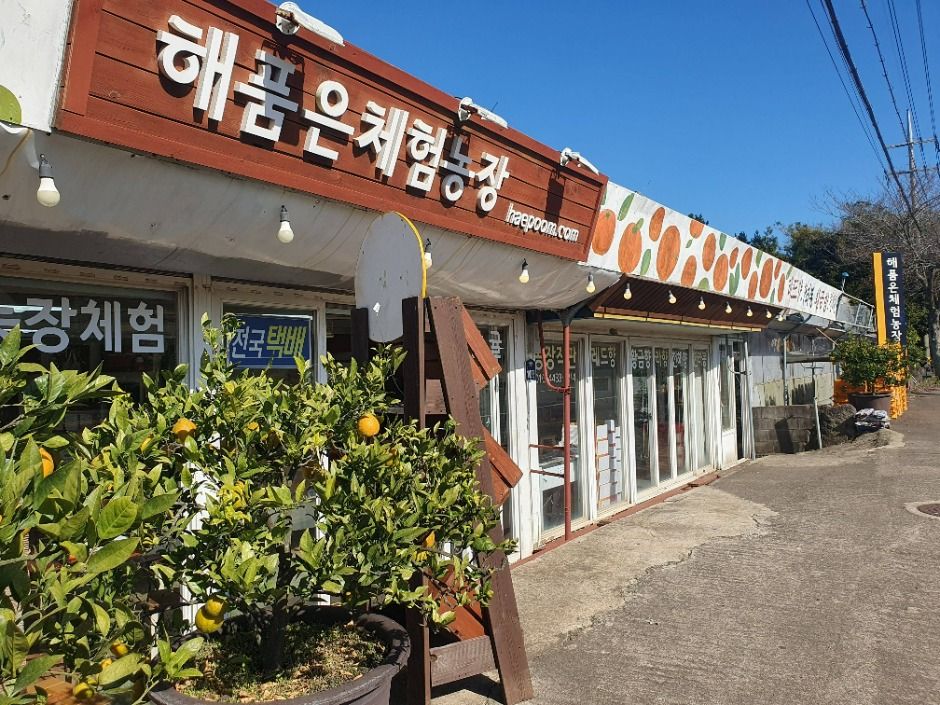 [제주] 해품은체험농장
