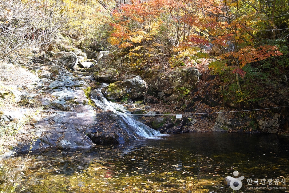 [강원] 국립 복주산자연휴양림