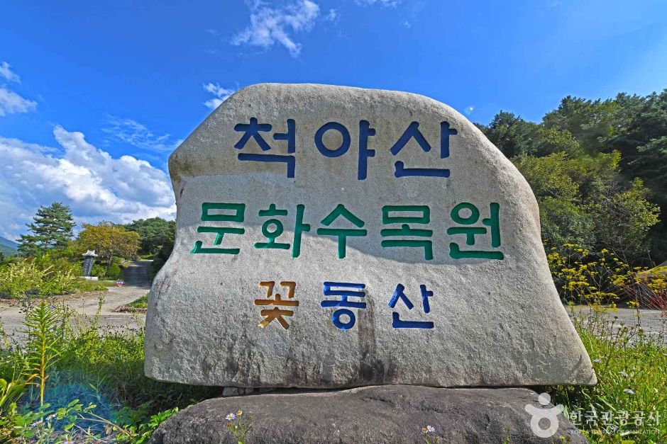 [강원] 척야산 문화수목원