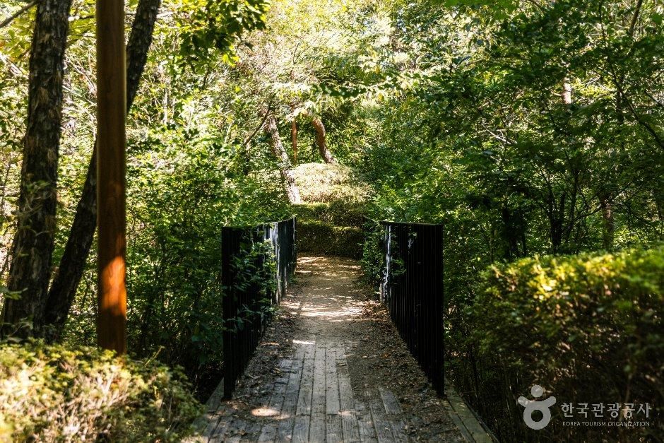 [경기] 삼성산산림욕장