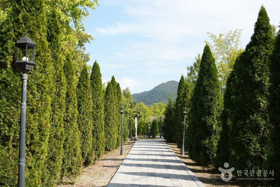 [전남광주통합특별시] 나주 은행나무 수목원