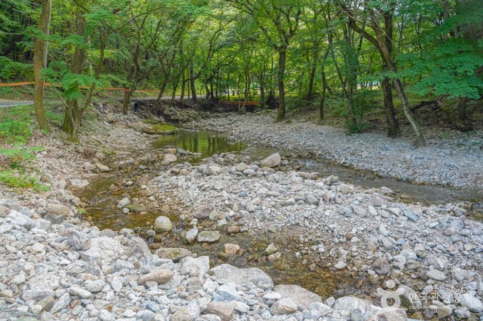 [전남광주통합특별시] 용흥사계곡