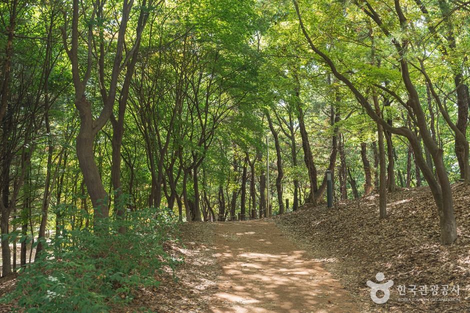 [대전] 남선공원