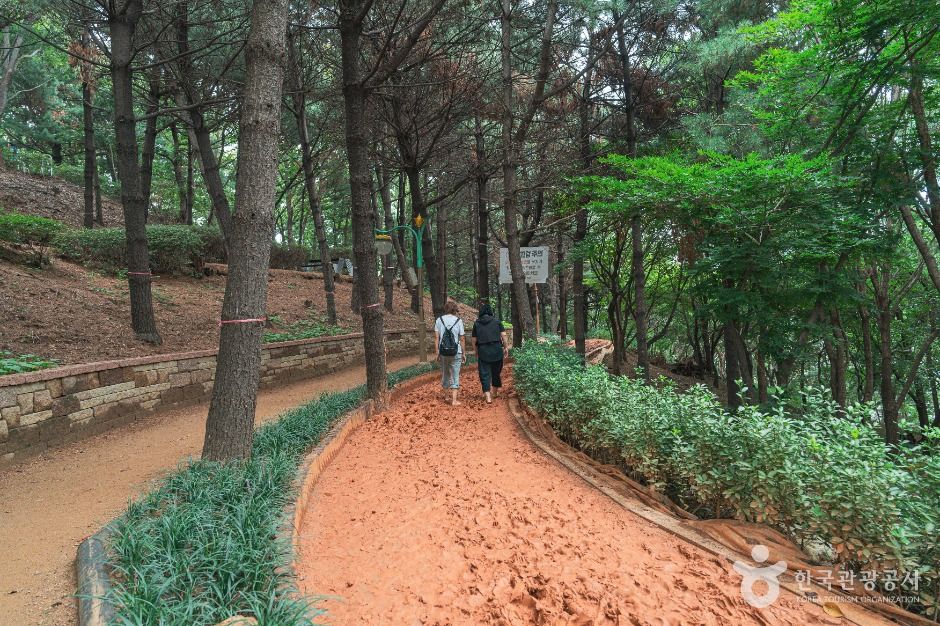 [경기] 수진공원