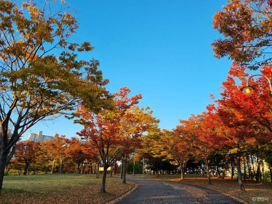 [경기] 안산호수공원