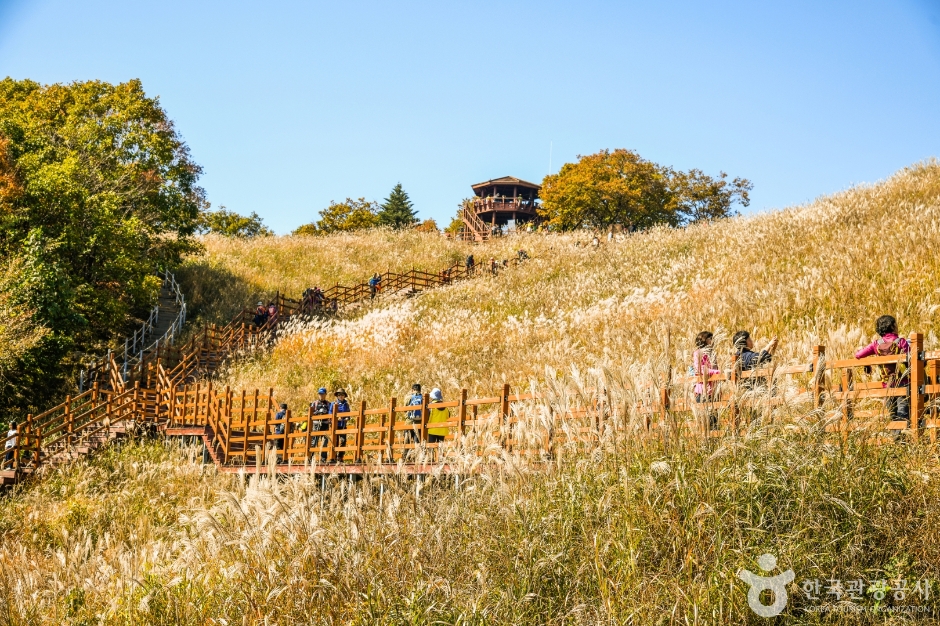 [경기] 명성산억새밭