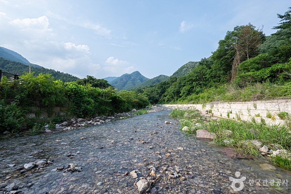 [경기] 지장계곡
