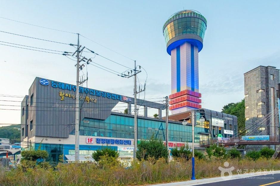 [강원] 전망대활어회센터 (묵호항전망대)