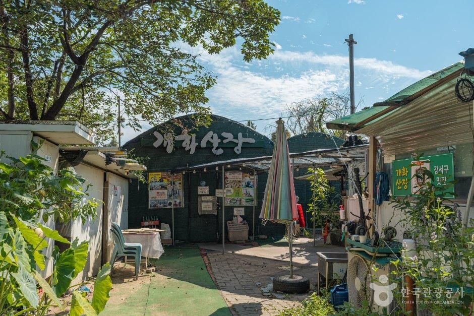 [서울] 개화산장