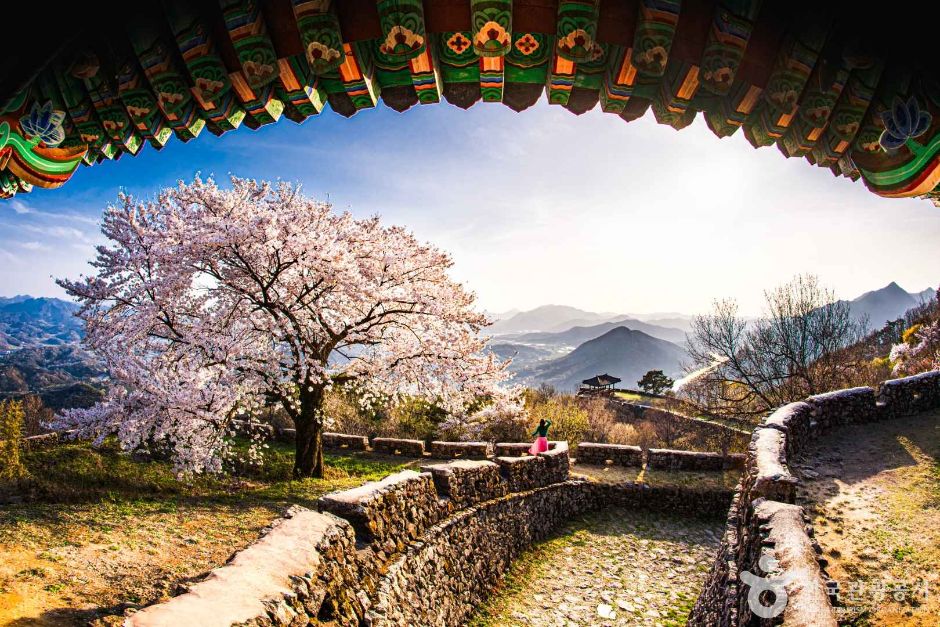 [전남광주통합특별시] 담양 금성산성