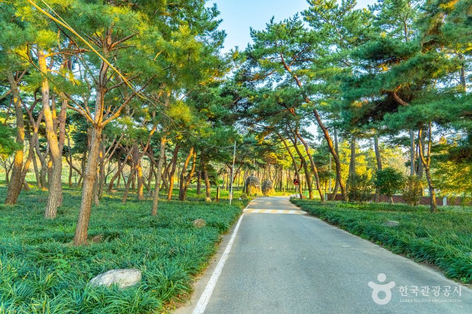 [전남광주통합특별시] 구만마을