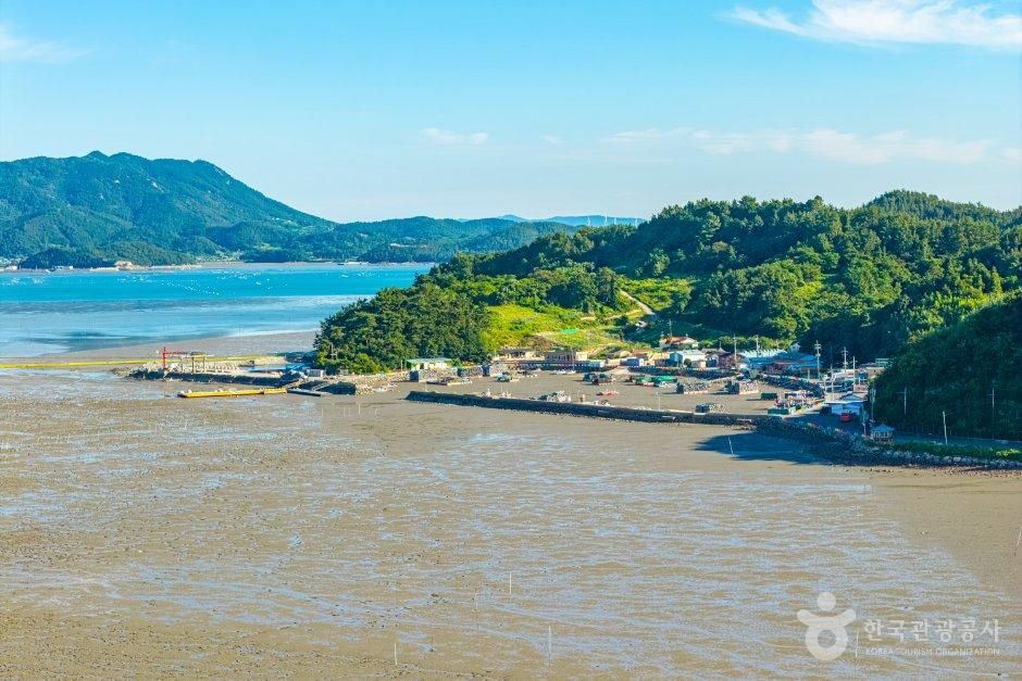 [전남광주통합특별시] 신리어촌체험마을
