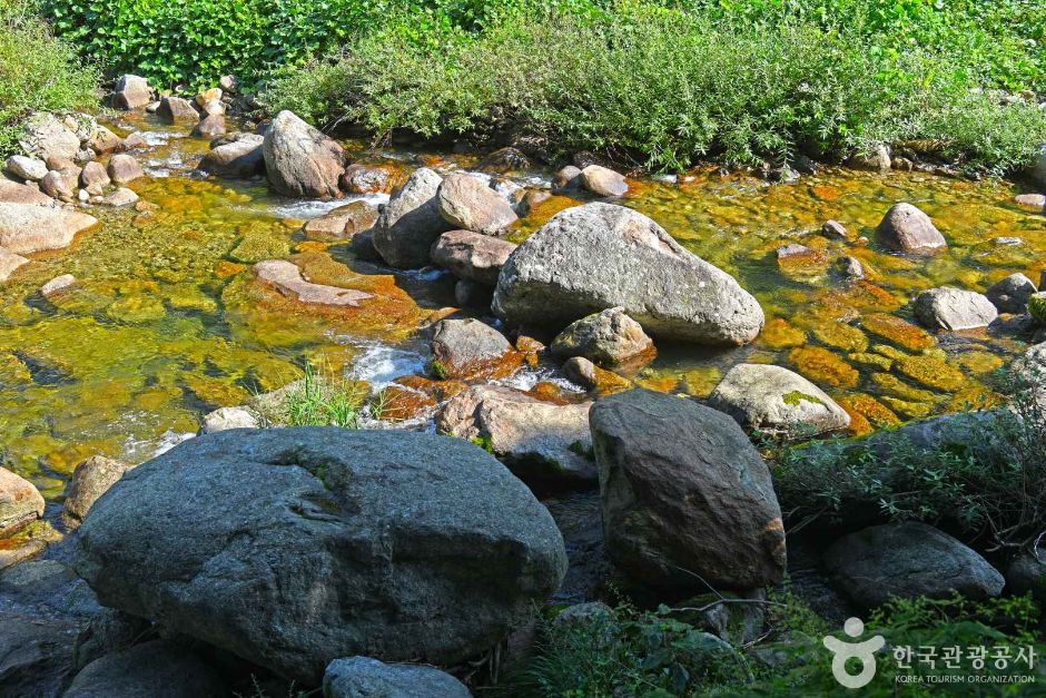[충북] 새밭계곡