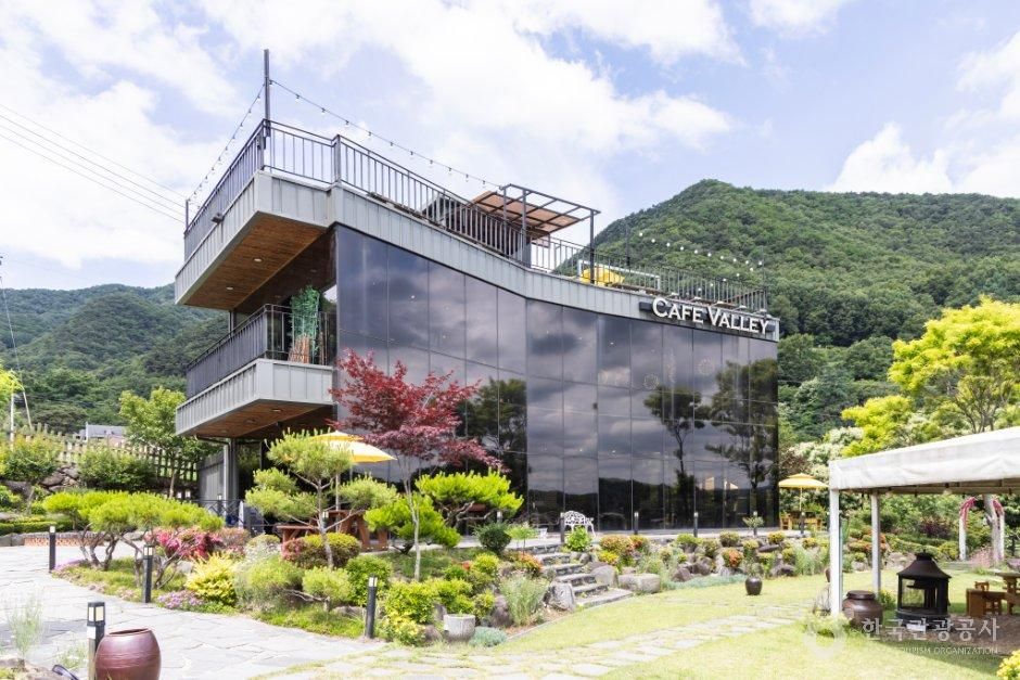 [충북] 카페 벨리