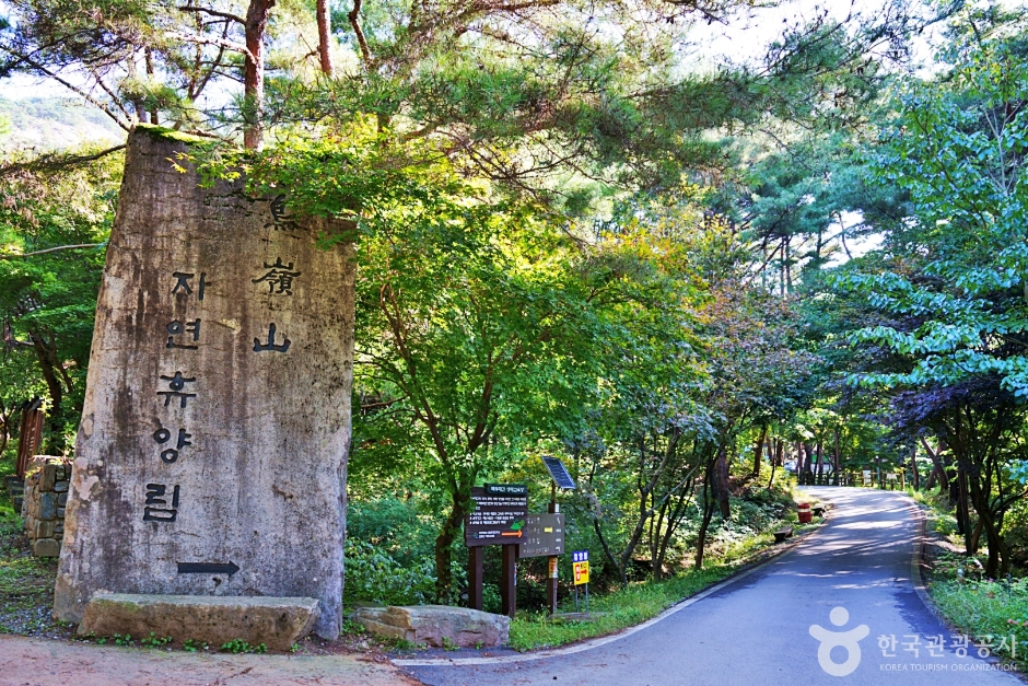 [충북] 조령산자연휴양림