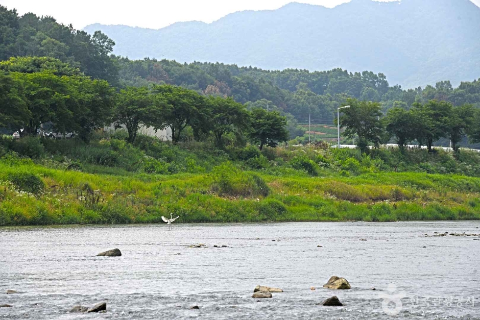[충북] 달천