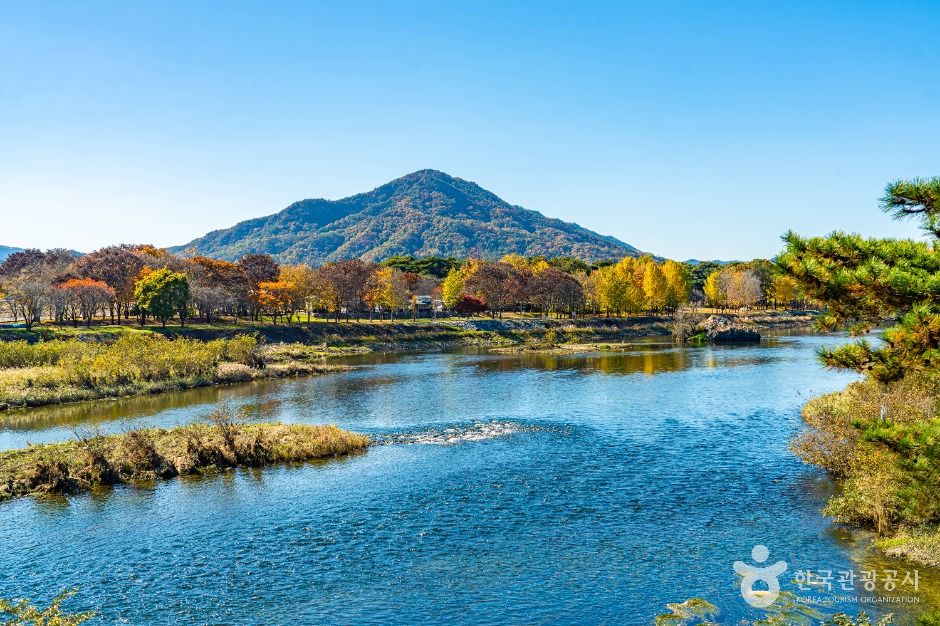 [충북] 강선대